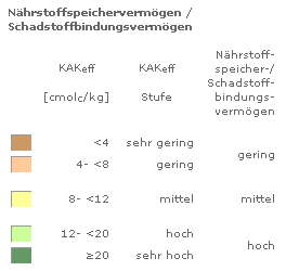 overview